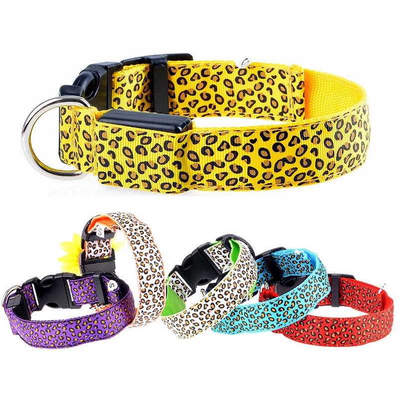 LED-Hundehalsband, Sicherheitshalsband für die dunklen Abende